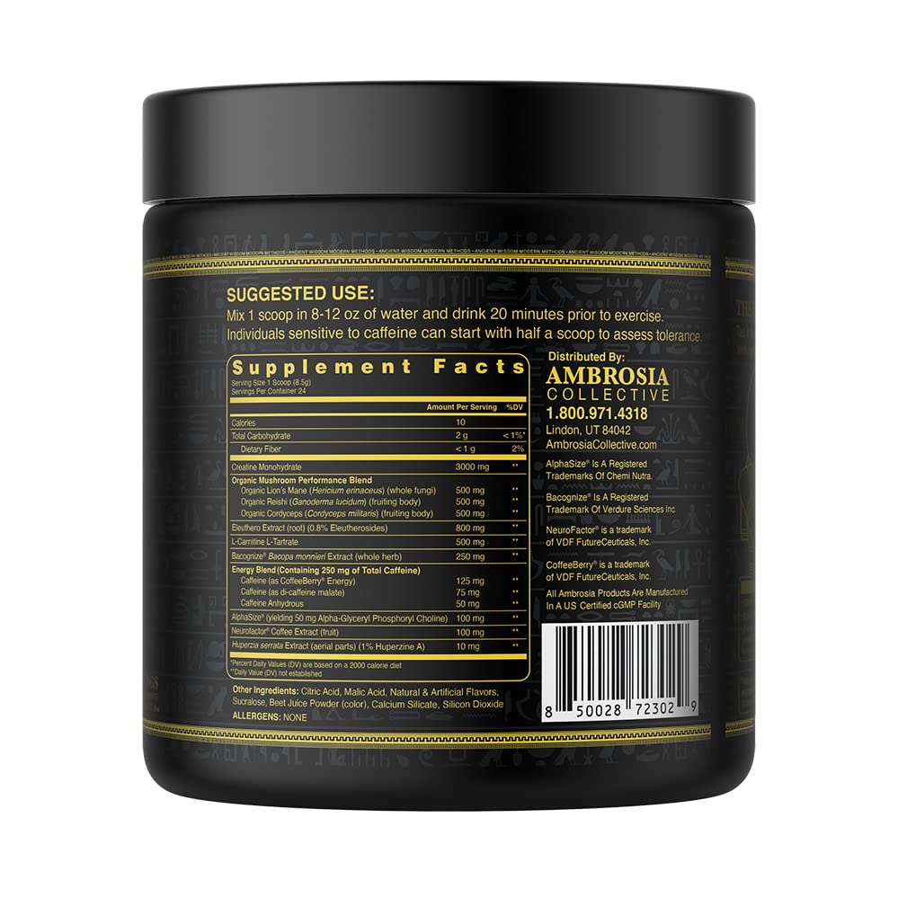 Ambrosia Kinetic Organic Preworkout, Mushroom Enhanced Natural Pre Workout Supplement Ambrosia buy supplements canada
