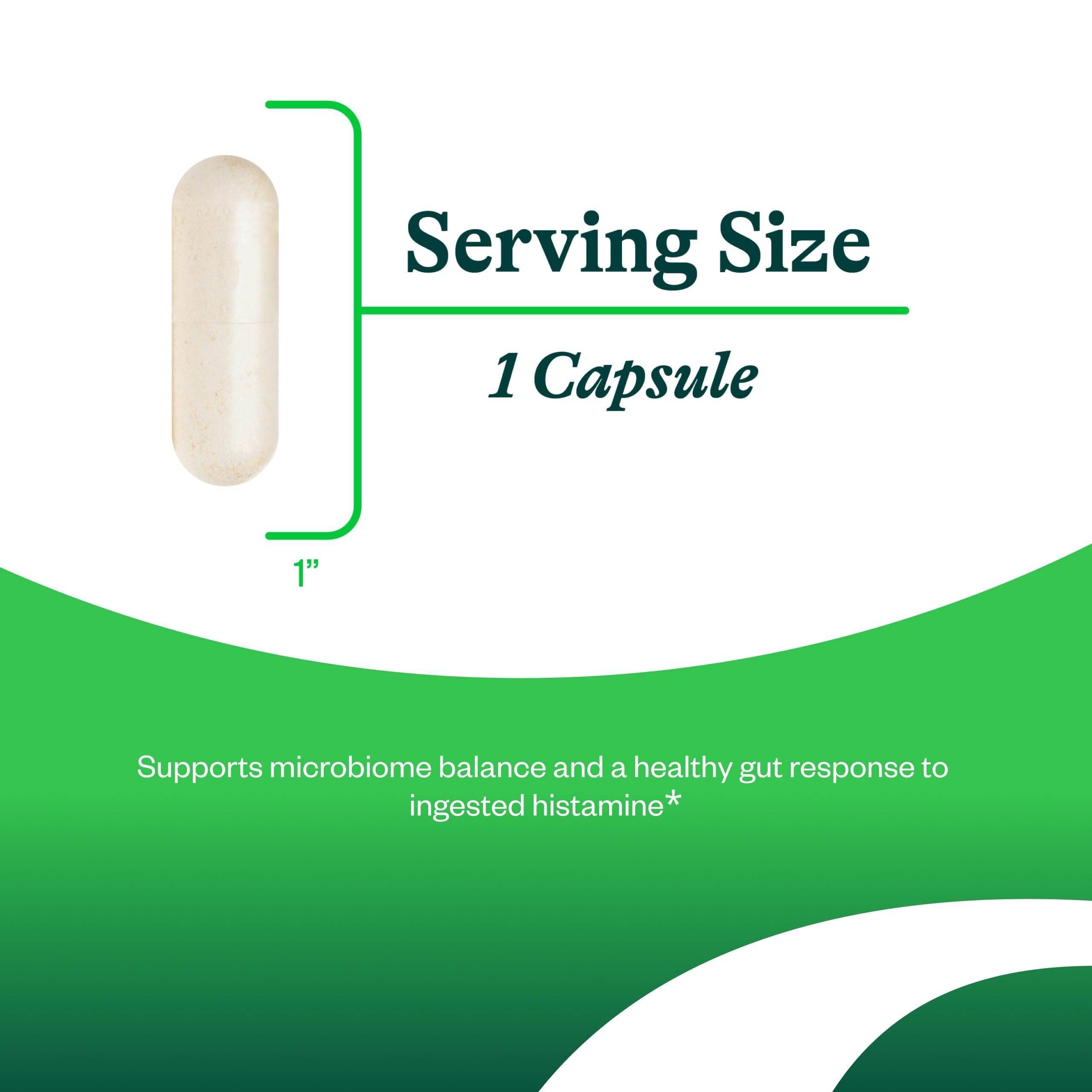Seeking Health ProBiota HistaminX - Digestion Supplement for Gut Health Support - Support Histamine with Lactobacillus Plantarum & Lactobacillus Salivarius Seeking Health buy supplements canada