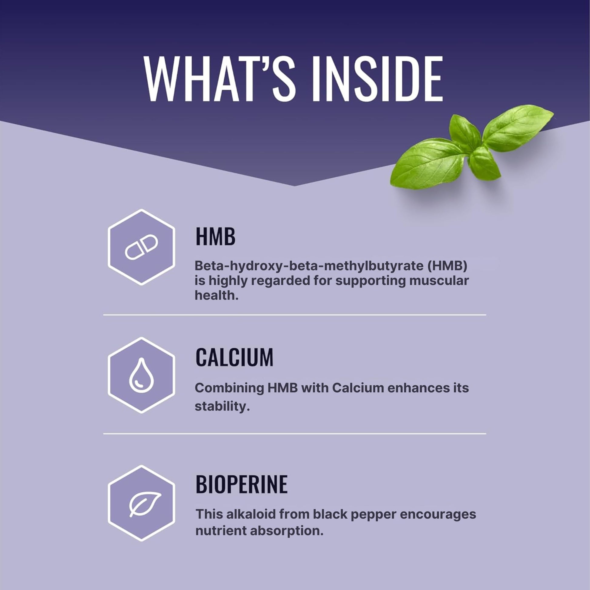 Approved Science HMB - 1500mg High Potency HMB Supplement with Calcium & BioPerine for Absorption - Muscle Health & Exercise Performance - 60 Vegan Capsules - Pack of 3 Approved Science buy supplements canada
