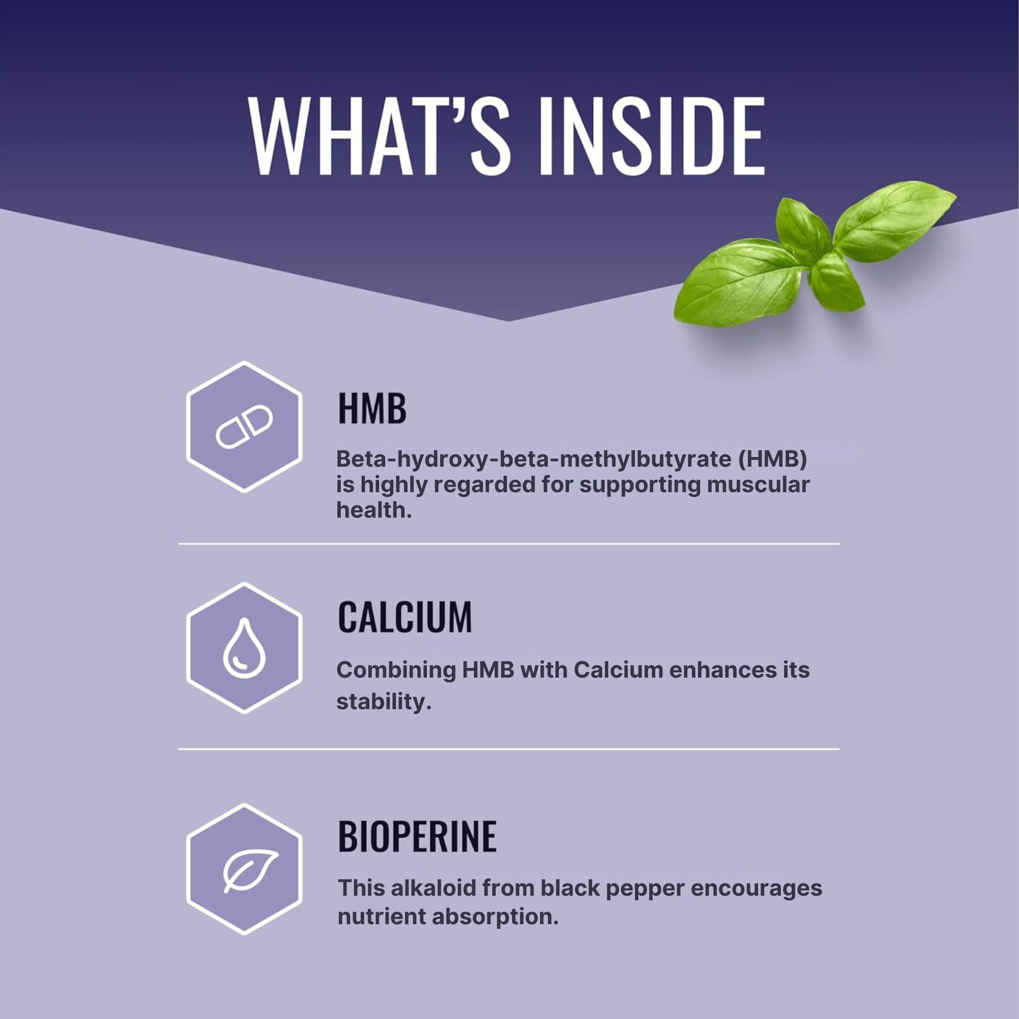 Approved Science HMB - 1500mg High Potency HMB Supplement with Calcium & BioPerine for Absorption - Muscle Health & Exercise Performance - 60 Vegan Capsules - Pack of 3 Approved Science buy supplements canada