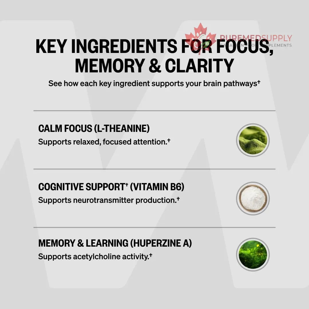 ONNIT Alpha Brain Nootropic Brain Supplement for Focus, Memory, Mental Clarity, Cognitive Support with L-Theanine and Vitamin B6, 90 Count ONNIT buy supplements canada