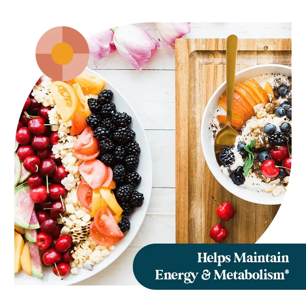 Pattern Wellness Multivitamin for Men & Women – Vitamin A, B, C, D, E – Supports Energy & Wellness – Whole Body Health Pattern Wellness buy supplements canada