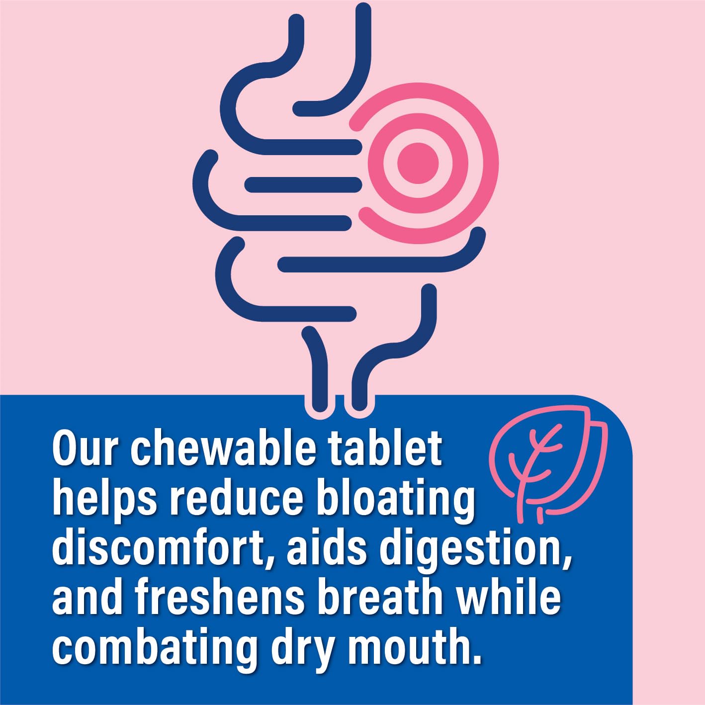 Probiotiv Chewable Probiotics for Daily Bloating w/ 5 Billion CFU – “Two-in-One Combo” Probiotiv buy supplements canada