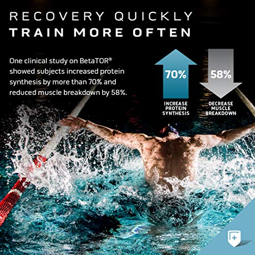 Muscle Recovery, MuscleTech Clear Muscle Post Workout Recovery, Muscle Builder MuscleTech buy supplements canada