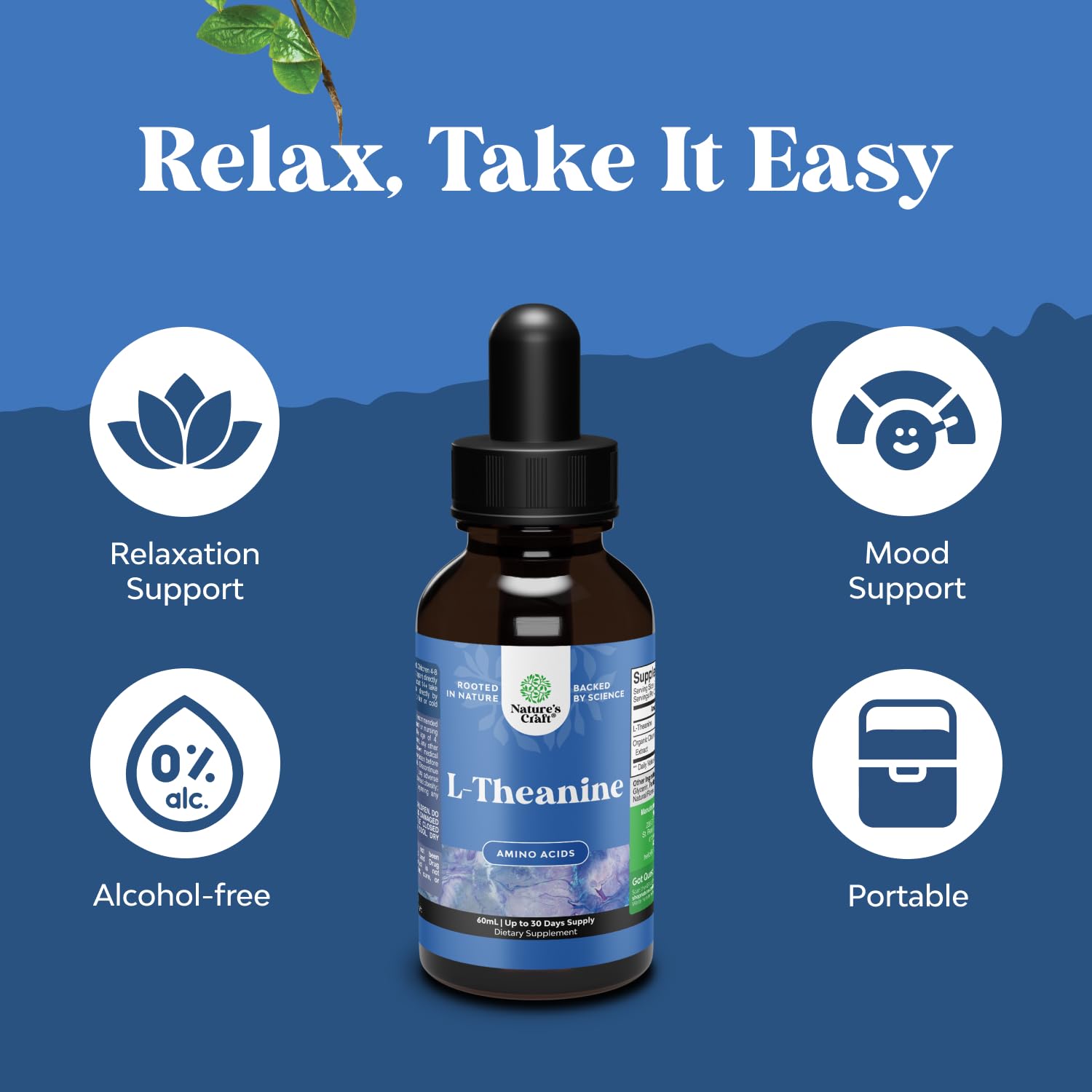 High Absorption L-Theanine Liquid Drops - Nootropic Focus Supplement with L Theanine 200mg Per Serving and Chamomile Extract Supplement for Adults and Kids Relaxation and Focus - 2 Fl Oz Natures Craft buy supplements canada