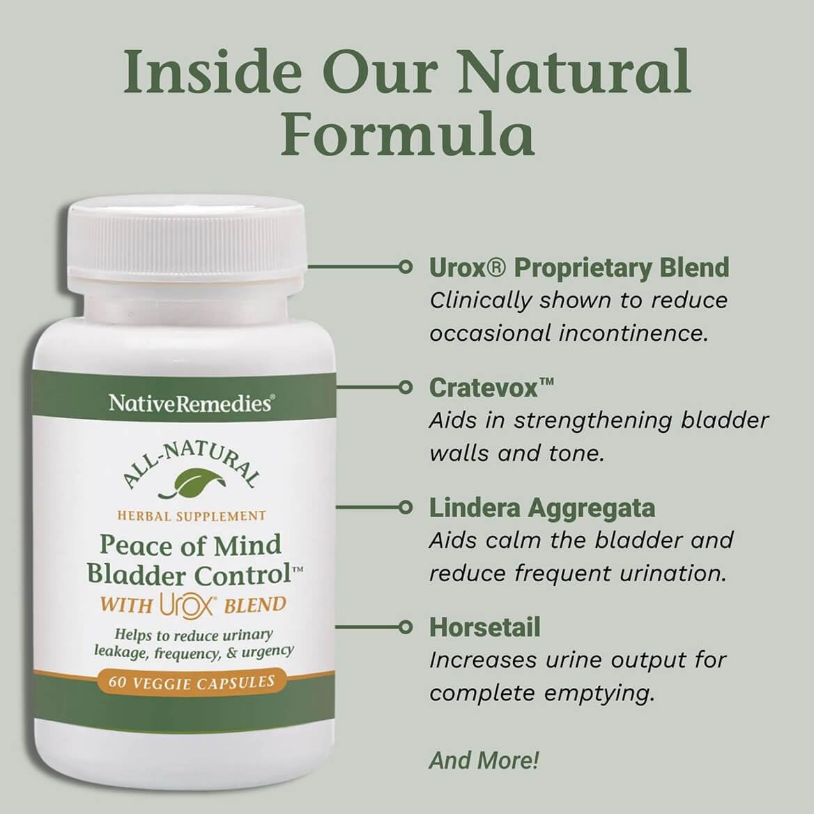 Native Remedies Bladder Control Supplements - Peace of Mind with Urox - Bladder Support for Women & Men, for Overactive Bladders Health - Reduce Nighttime Urination - Non-GMO Vegan Capsules (60 Count) Native Remedies buy supplements canada