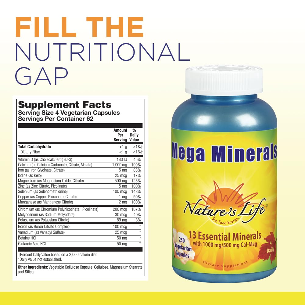 Nature's Life Mega Minerals Complex | Complete Multi Mineral + Vitamin D Supplement | 250 Vegetarian Capsules Nature's Life buy supplements canada