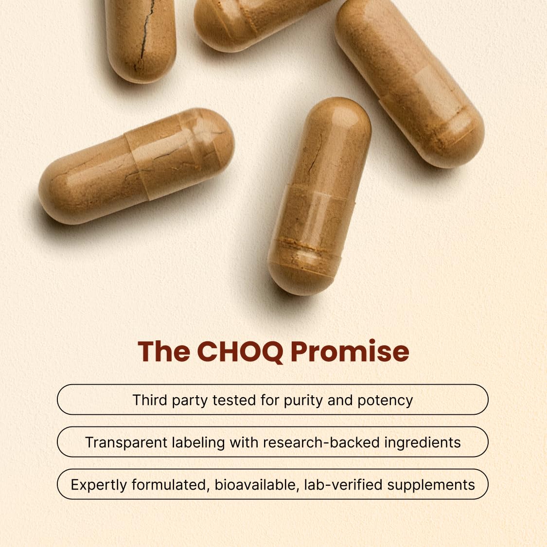 CHOQ Daily with 500mg PrimaVie Shilajit, Safed Musli, Tribulus - Natural Energy, Libido & Muscle Support - Daily Supplement for Men, 60 Vegan Capsules CHOQ buy supplements canada