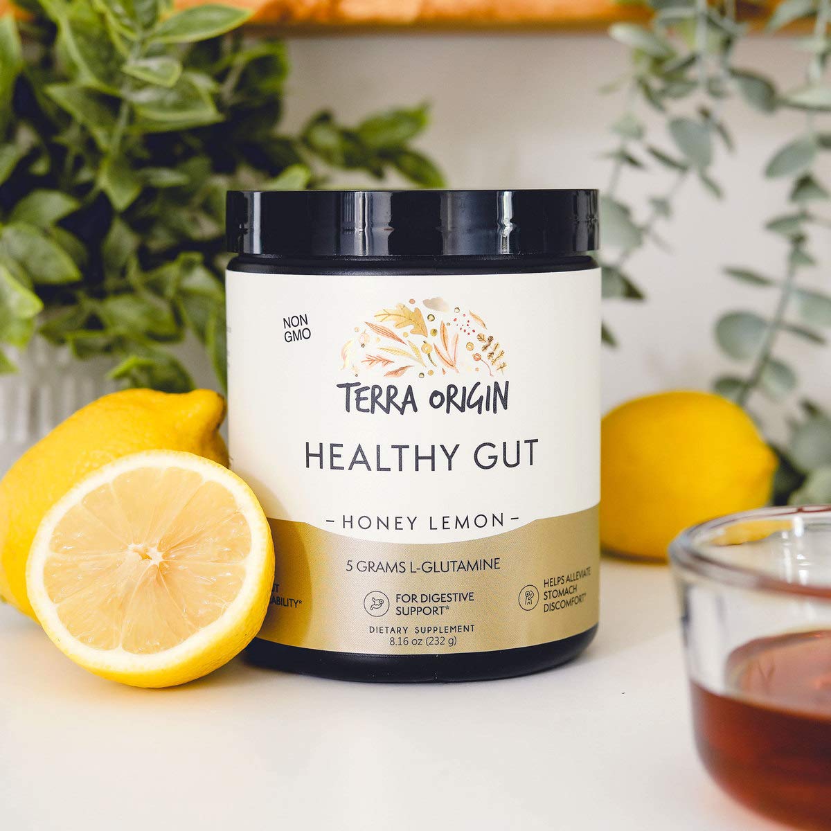 TERRA ORIGIN Healthy Gut Powder (Honey Lemon) | 30-Servings with L-Glutamine TERRA ORIGIN buy supplements canada