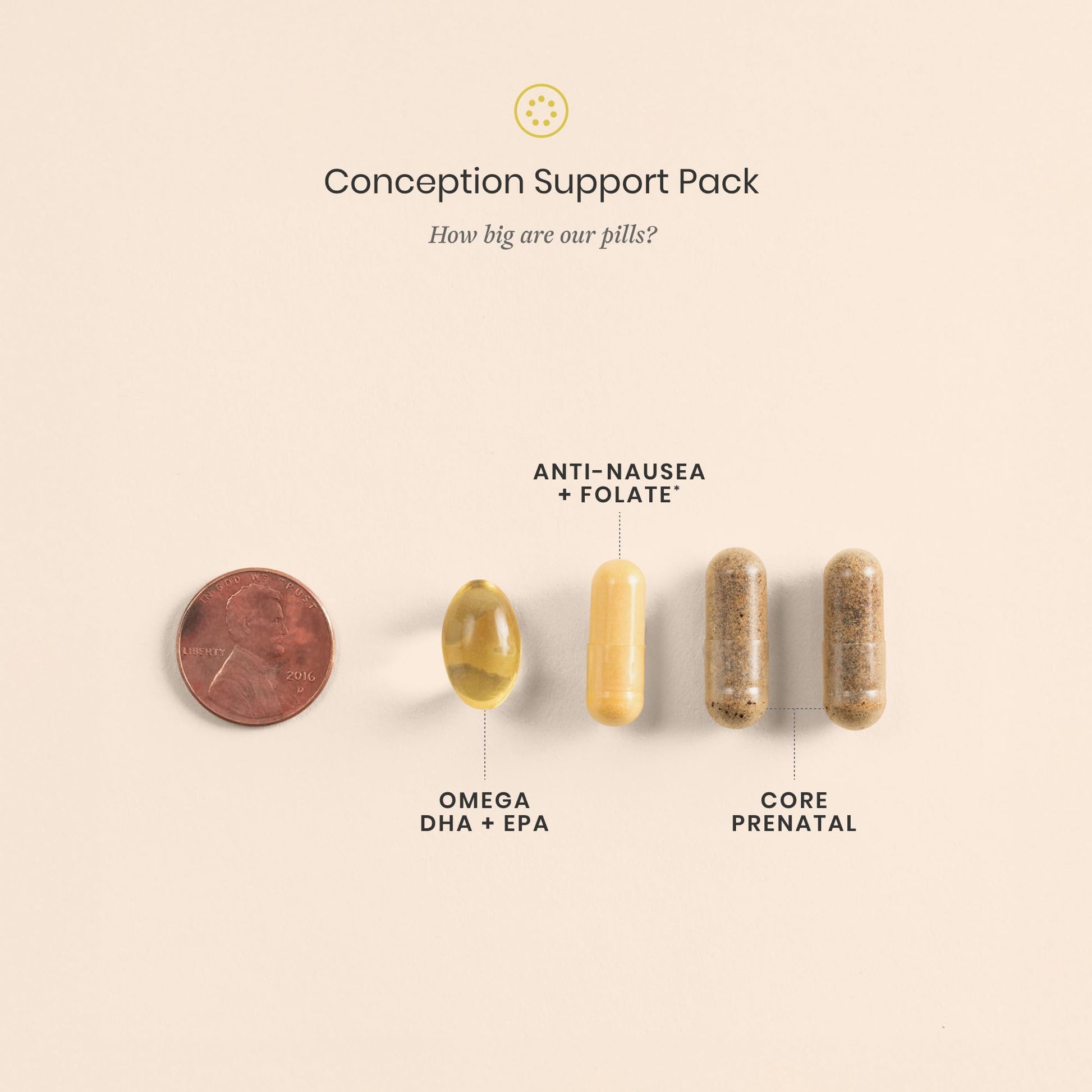 Perelel Conception Support Pack, Prenatal Multivitamin with DHA Omega 3, COQ10 & Folate, Supports Fertility Wellness for Women Perelel buy supplements canada