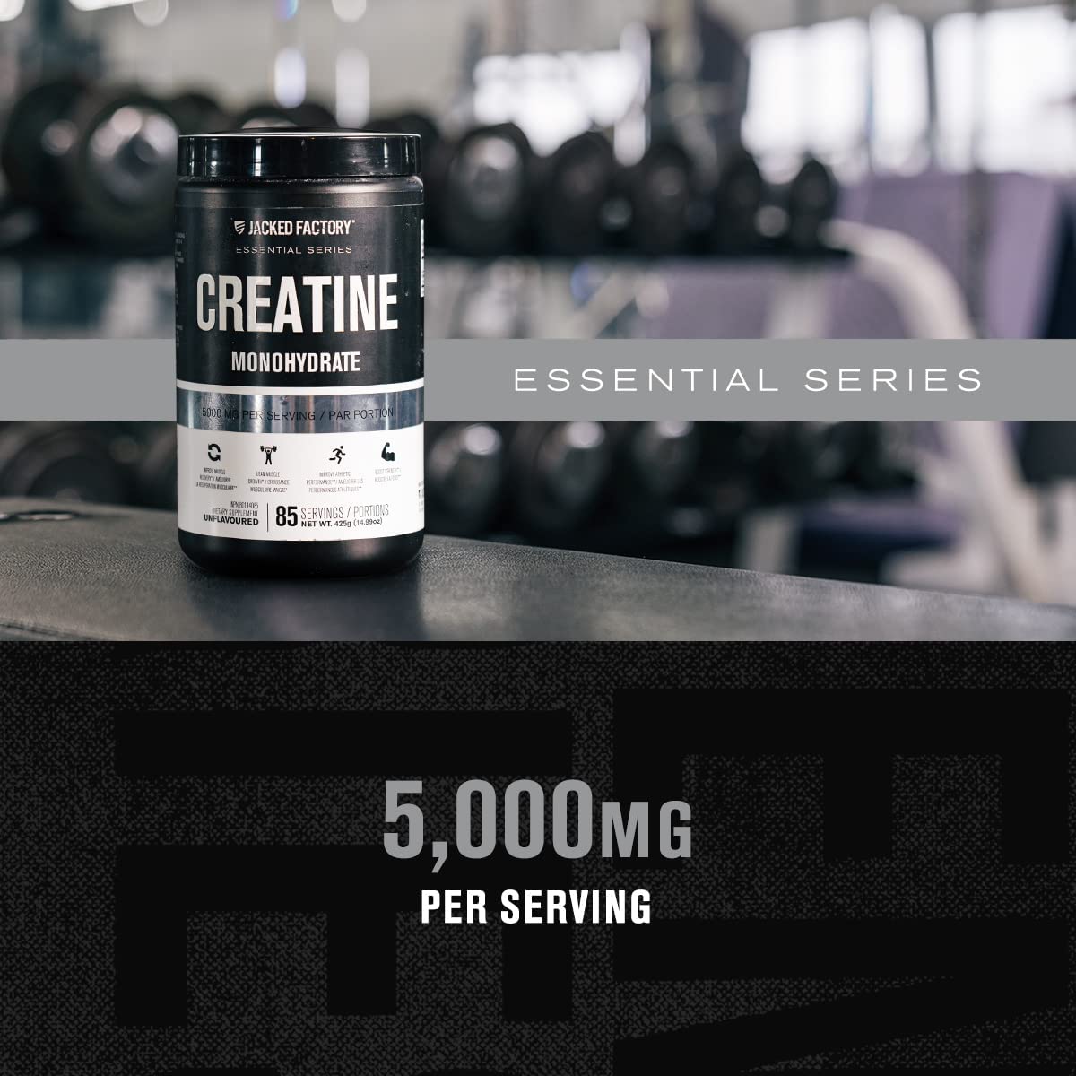 Nitrosurge Pre-Workout & Creatine Monohydrate - Pre Workout Powder With Creatine Jacked Factory buy supplements canada