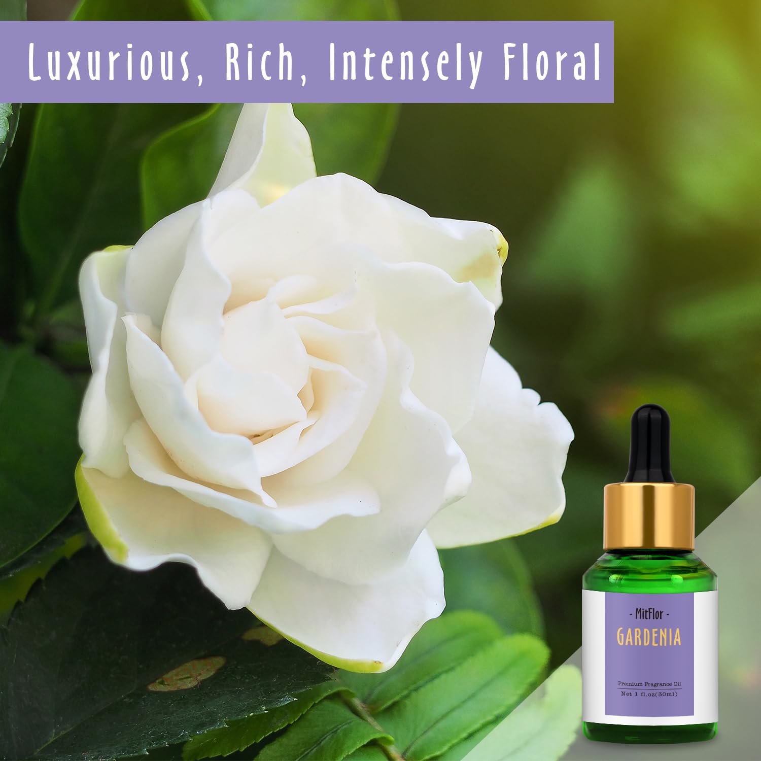 Gardenia Fragrance Oil, MitFlor Single Scented Oil, Large Size Premium Grade Fragrance Oil MitFlor buy supplements canada