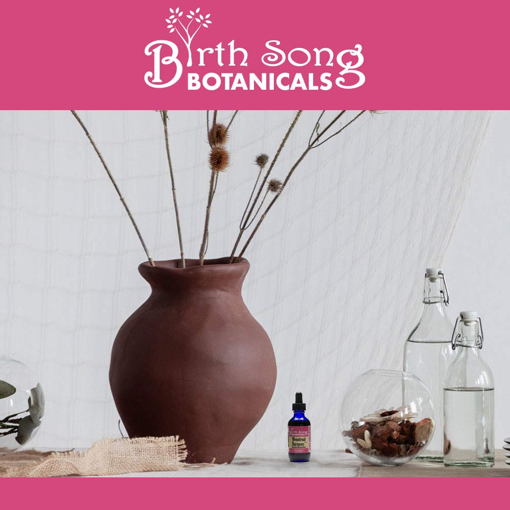 Birth Song Botanicals Menstrual Harmony Tincture, Herbal Period Symptom Support Birth Song Botanicals buy supplements canada