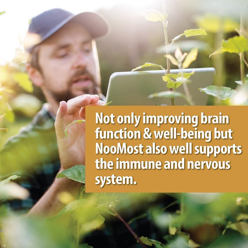 NooMost Organic Lions Mane Supplement Capsules 5400mg, Ginkgo Biloba 120mg NooMost buy supplements canada
