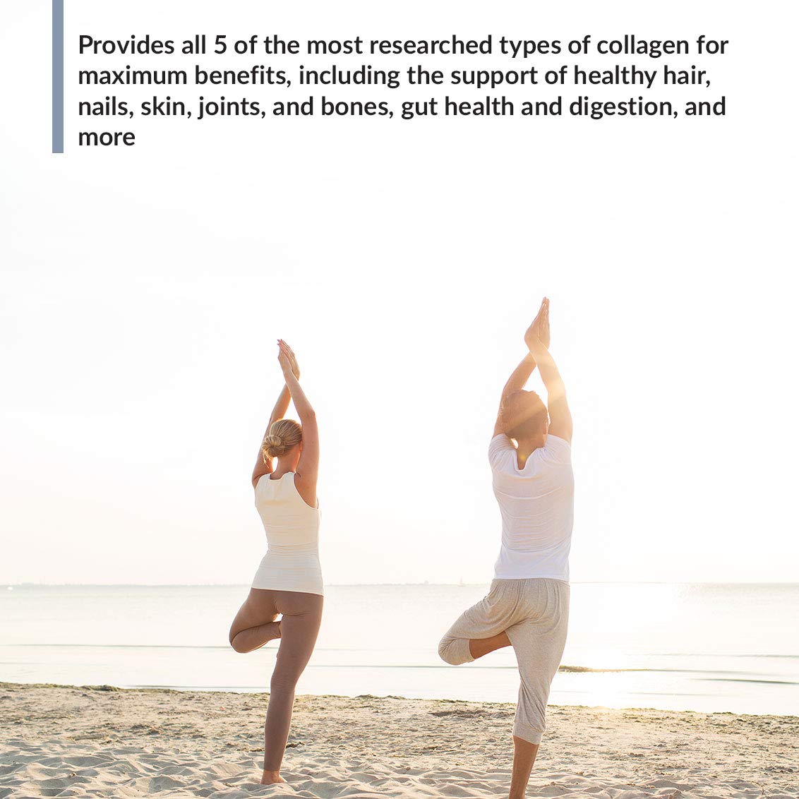 BioTrust Ageless Multi Collagen 5-in-1 Protein Powder (Vanilla) BlenderBottle Bundle BioTrust buy supplements canada