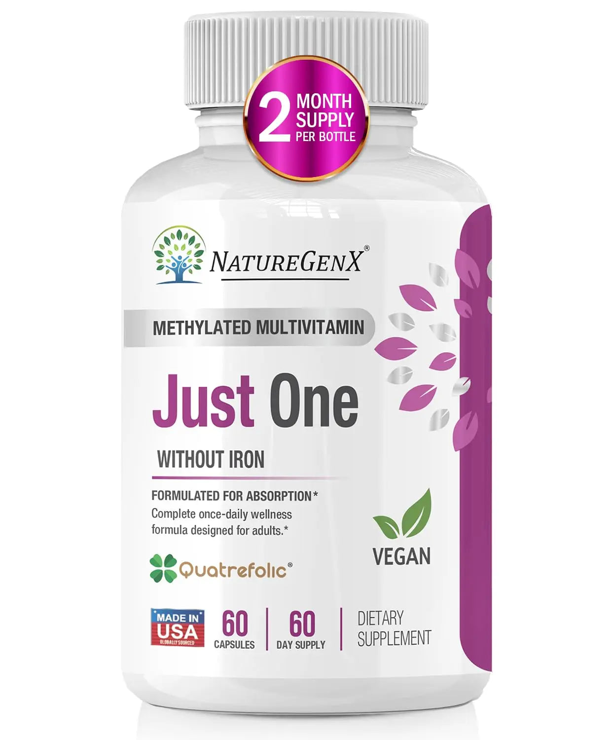 NatureGenX Just One Daily Methylated Multivitamin - 60 Caps Pure Methyl B12, Methylfolate MTHFR Support Supplement Iron Free Methylated Vitamins NatureGenX buy supplements canada