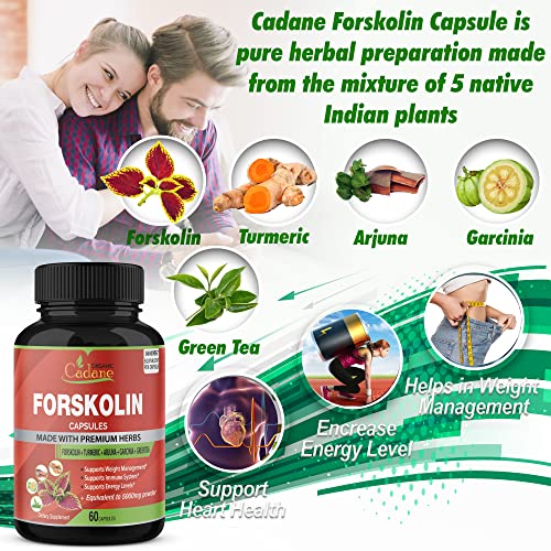 2 Packs Organic Forskolin Supplements Capsules 5000mg with Turmeric, Arjuna, Garcinia Cambogia Organic Cadane buy supplements canada