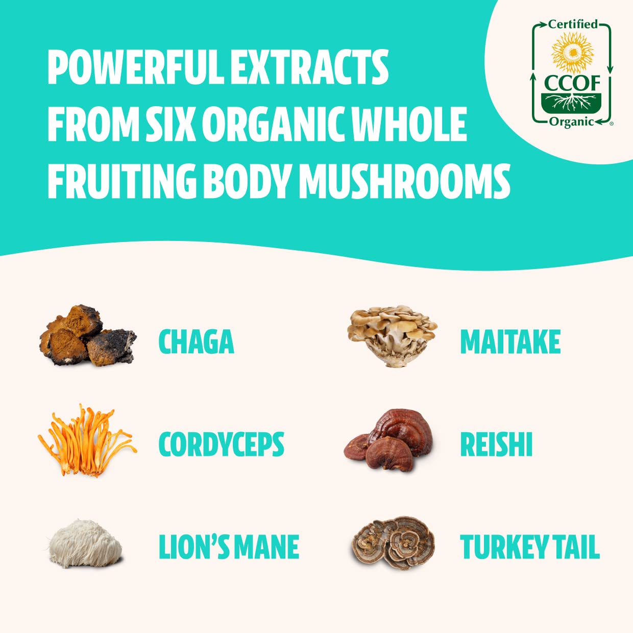 FreshCap Ultimate Mushroom Complex - Lions Mane, Reishi, Cordyceps, Chaga, Turkey Tail FreshCap Mushrooms buy supplements canada