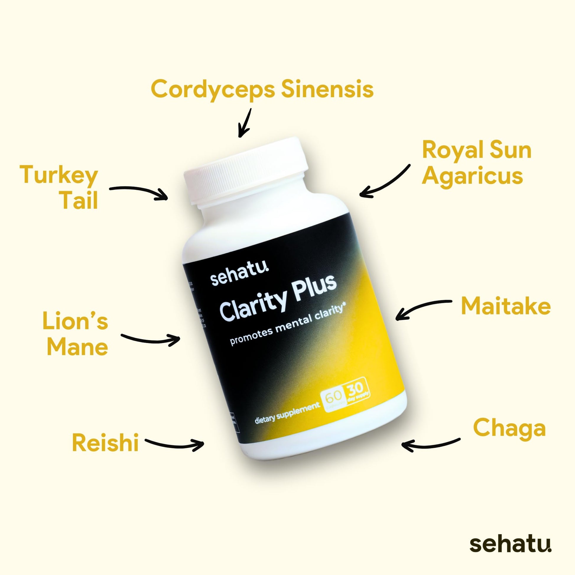 SEHATU Clarity Plus Cognitive Wellness Supplement | Packed with 10 Powerful Adaptogenic Mushrooms | Clear Brain Fog and Support Mental Clarity | 60 Count | 30 Day Supply SEHATU buy supplements canada