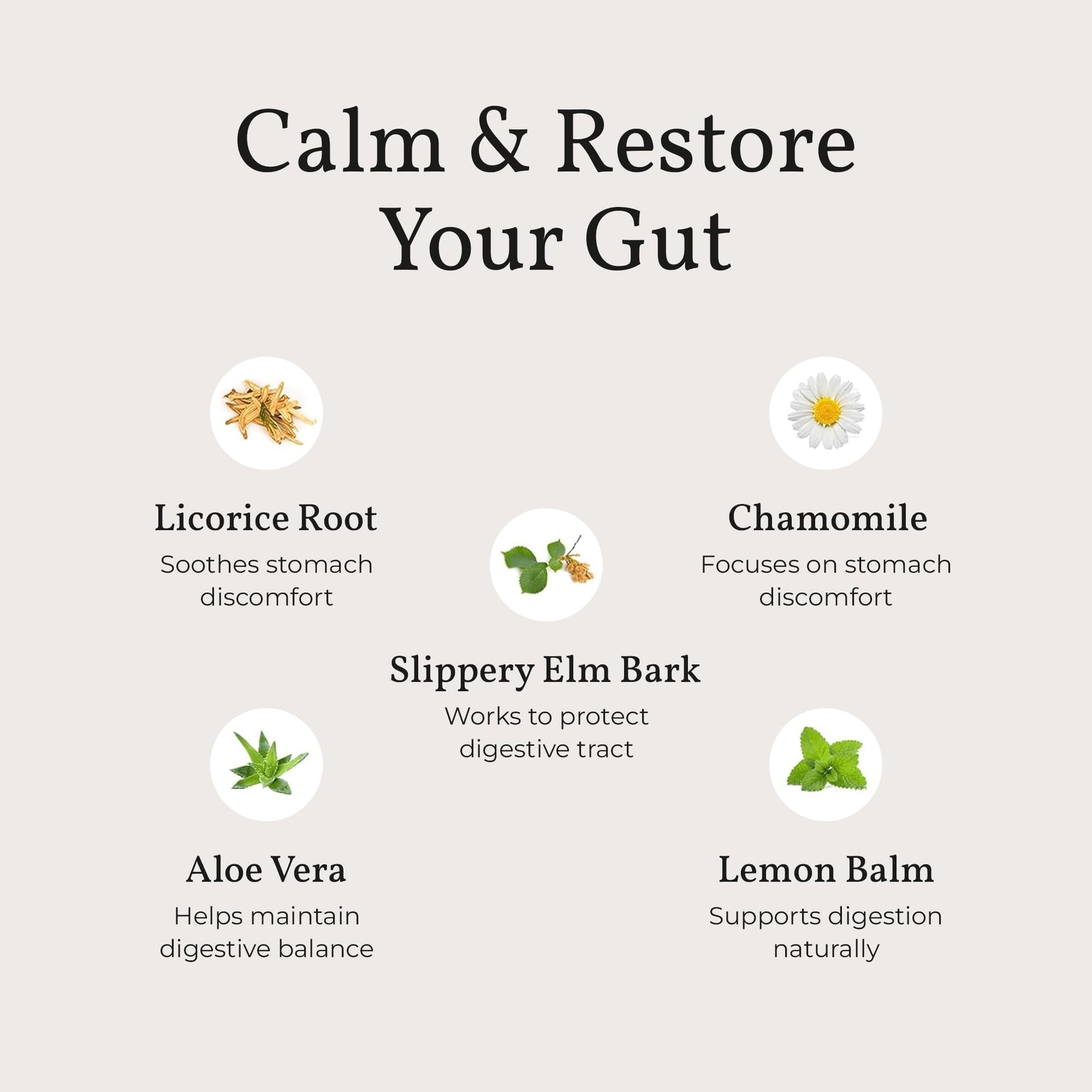 Terra Health Essentials Acid Relief - Plant Based Digestive Support Supplement for Comfortable Gut Function - Lemon Balm, Slippery Elm, Terra Health Essentials buy supplements canada