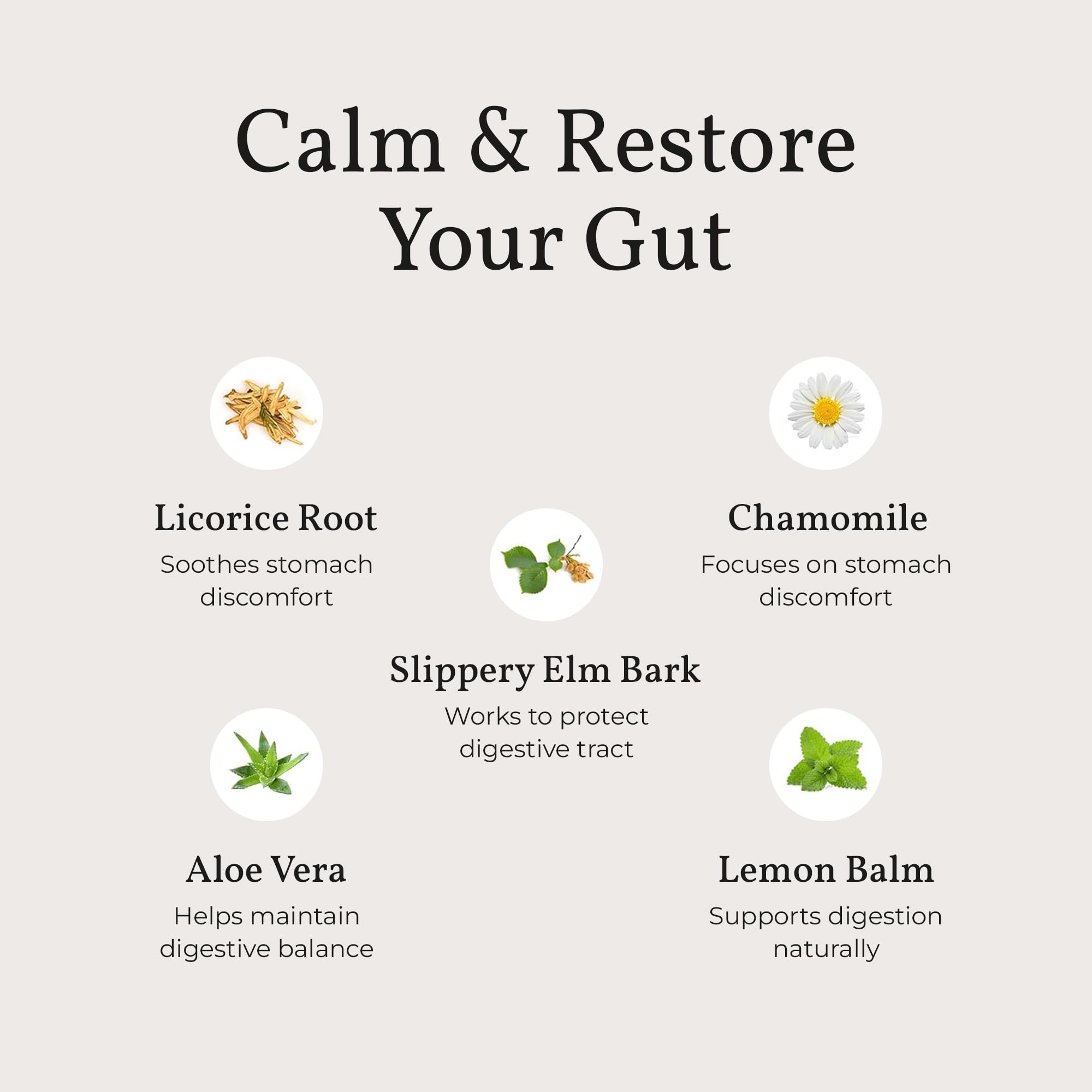 Terra Health Essentials Acid Relief - Plant Based Digestive Support Supplement for Comfortable Gut Function - Lemon Balm, Slippery Elm, Terra Health Essentials buy supplements canada