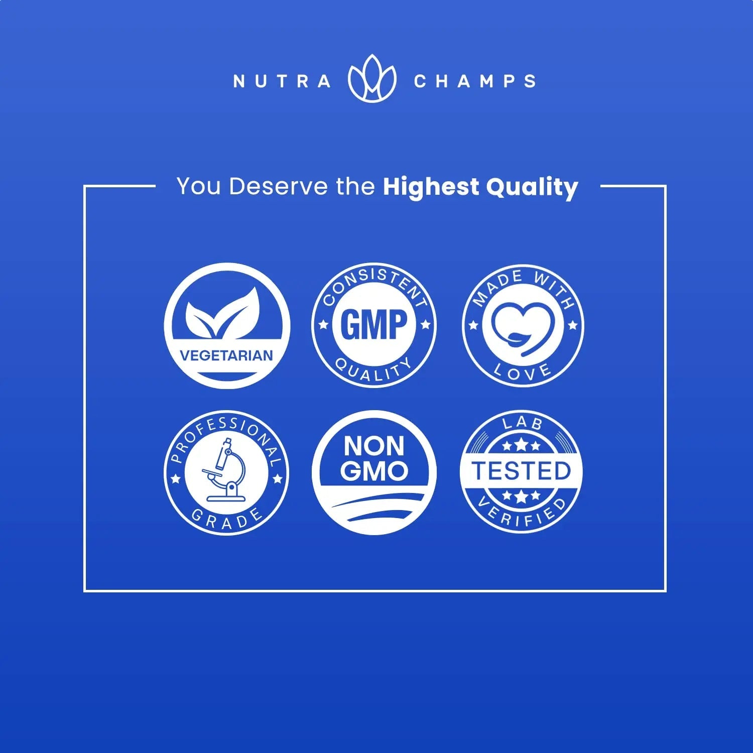 NutraChamps Multivitamin for Men, 240 Count, Vitamins A, B, C, D, E, Biotin, Zinc, Mens Gummy Multivitamins Supplement NutraChamps buy supplements canada