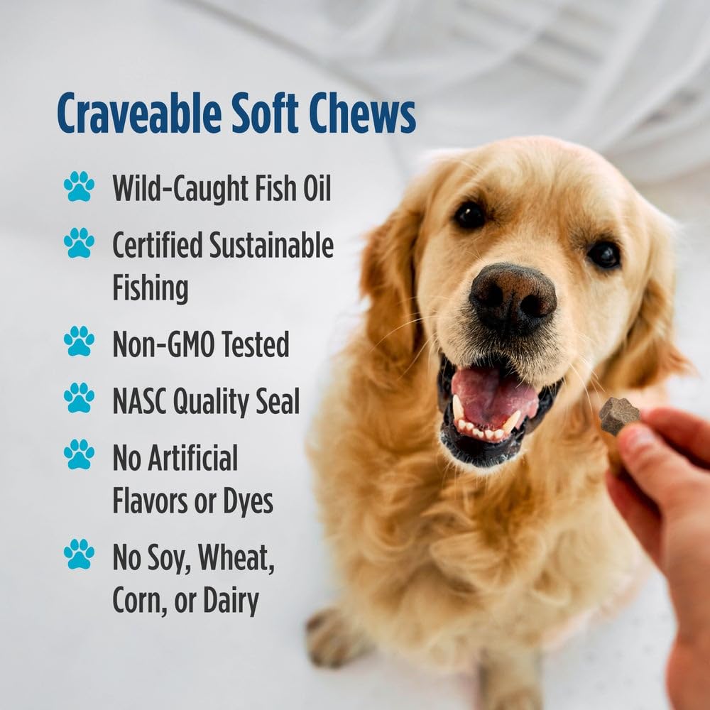 Nordic Naturals Pet Joint Support + Omega 3 Soft Chews for Dogs, Pork Bone Broth Flavored - Promotes Mobility, Hip and Joint Support with Omega-3 Fish Oil, MSM, EPA & DHA - 30 Non-GMO Chews Nordic Naturals buy supplements canada