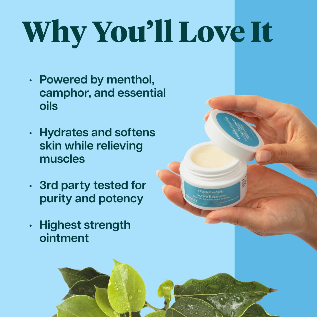 Charlotte's Web Active Recovery Muscle & Joint Relief Ointment 1.55oz Charlotte's Web buy supplements canada