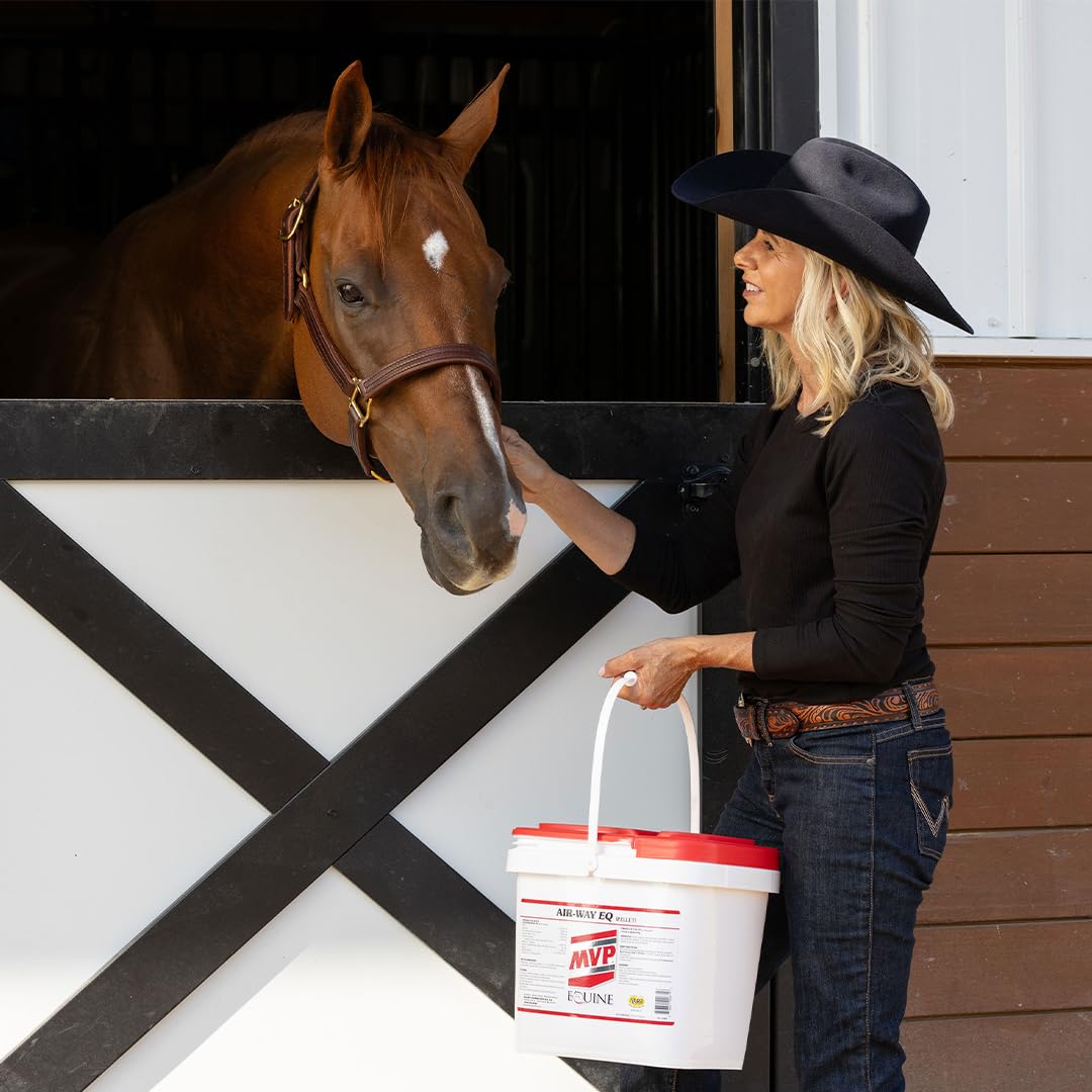 MVP Air-Way EQ Supports Healthy Lung Function and Seasonal Allergy Support in Horses, 5lb - 40 Servings MVP buy supplements canada