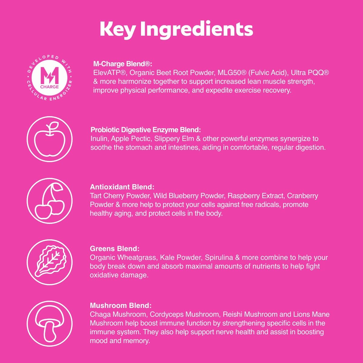 L'Evate You Vitality Daily Greens Powder (28 Servings) 30 Superfoods, 9 Greens - for a Cellular Energy Boost, Powered by M-Charge Complex for All Day Energy (Tart Cherry) Steve Harvey's L'Evate You buy supplements canada