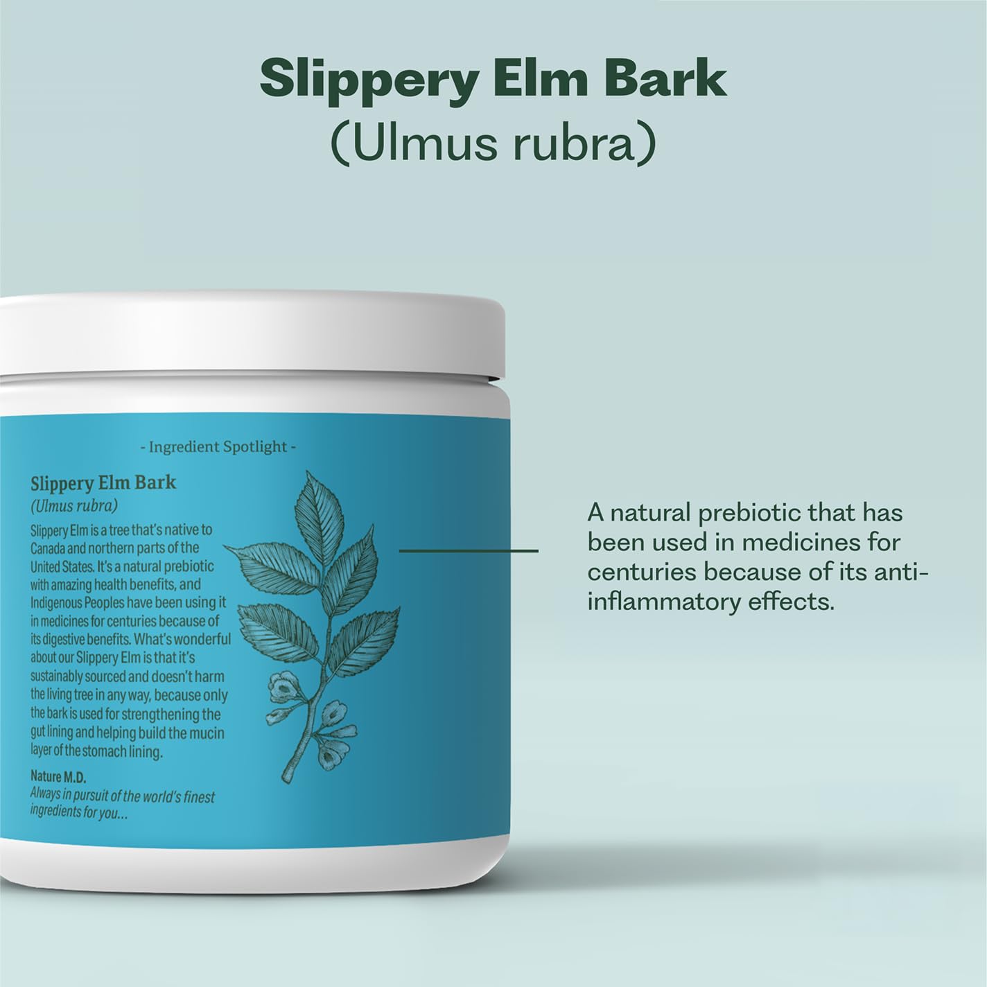 GutConnect 365 Gut Health Superfood Powder | Formulated With Slippery Elm Bark & L Glutamine | Vegan Certified | Allergen Free | Non-GMO | Soy Free | Made in the USA | 30 Servings – Vanilla Cinnamon Nature M.D. buy supplements canada