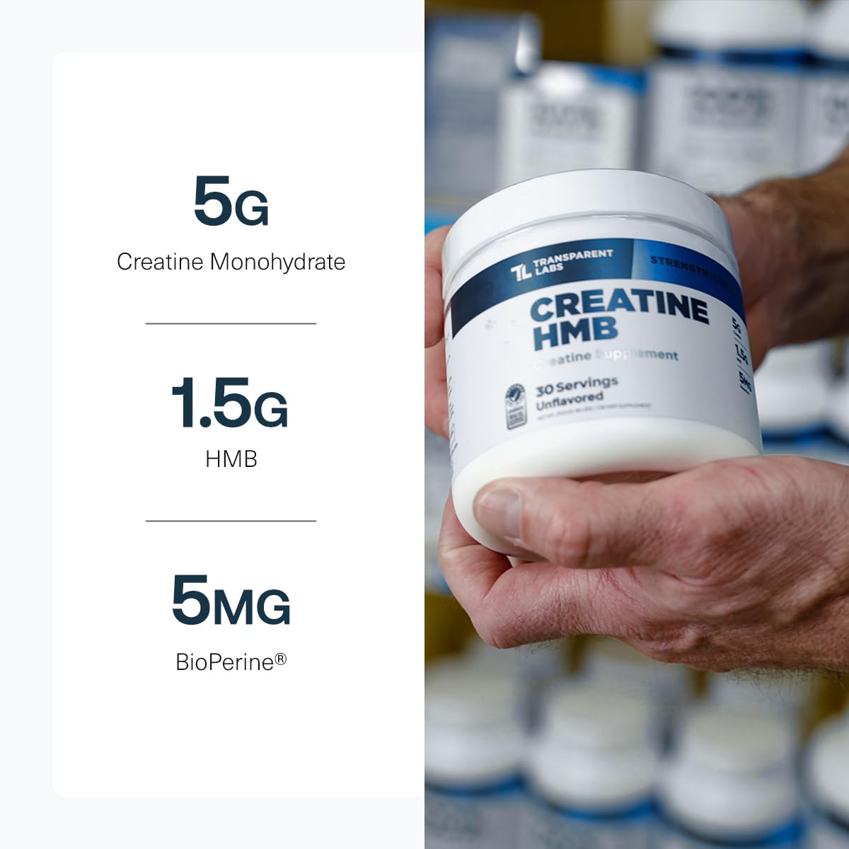 Transparent Labs Creatine HMB - Creatine Monohydrate Powder with HMB for Muscle Growth, Increased Strength, Enhanced Energy Output Transparent Labs buy supplements canada