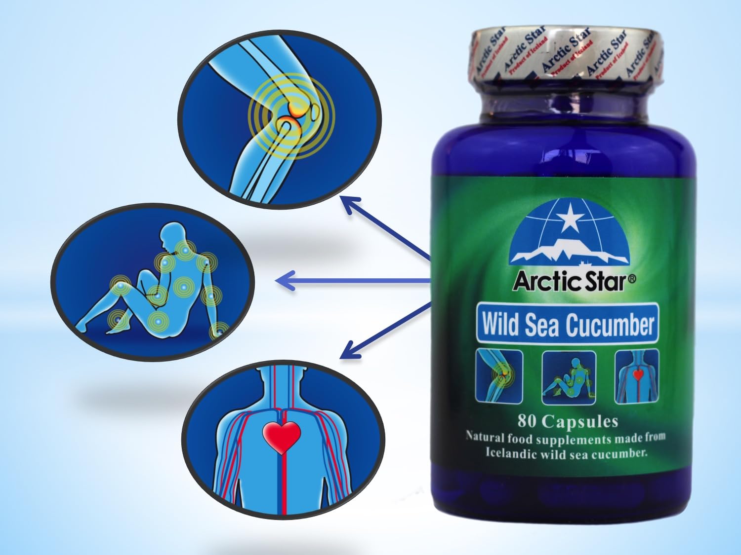 Arctic Star - Sea Cucumber Capsules - Natural Pure Iceland Atlantic Wild Caught Sea Cucumber Extract Supplement Pills - Joint Health t & Immune Health 400mg 80 Capsules/Bottle Arctic Star buy supplements canada