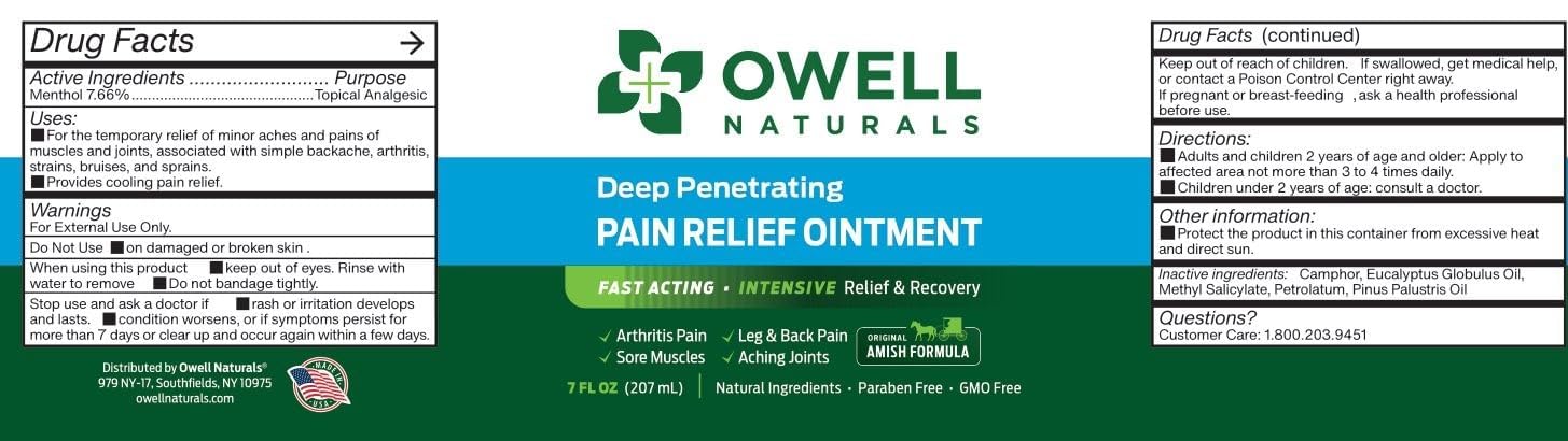 OWELL NATURALS Arthritis Pain Relief Ointment with Arnica & MSM – Deep Penetrating Joint & Muscle Therapy for Knee, Back, Sore Muscles, Legs, 3.5 oz (2 Pack) Owell Naturals buy supplements canada