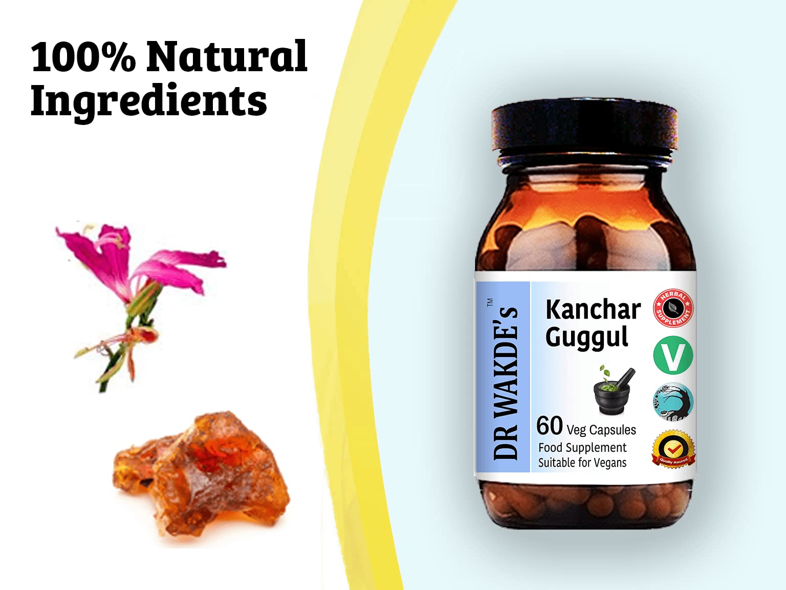DR WAKDE's Kanchnar Guggul (60 Veg Caps, Ayurvedic Supplement, Vegan, Herbal, Natural, Made in the UK) DR WAKDE's buy supplements canada
