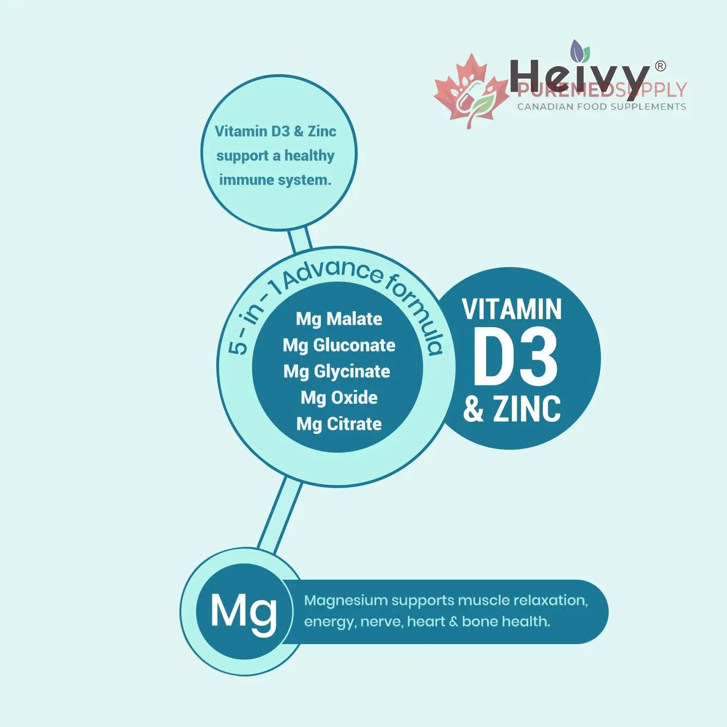 Heivy Magnesium Complex, Magnesium Glycinate, Citrate, Malate, Oxide, Gluconate with Zinc and Vitamin D3, Magnesium Supplement for Muscle, Nerve, Heart, Bone Support, High Absorption, 90 Tablets Heivy buy supplements canada