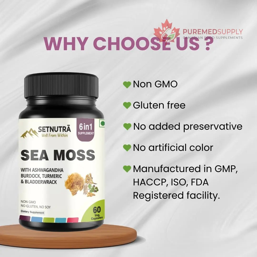 SETNUTRA Well From Within Sea Moss 6 in 1 Super Blend Ashwagandha Burdock Turmeric & Bladderwrack Immunity & Detox Support 60 Veg Capsules Non GMO No Gluten SETNUTRA Well From Within buy supplements canada