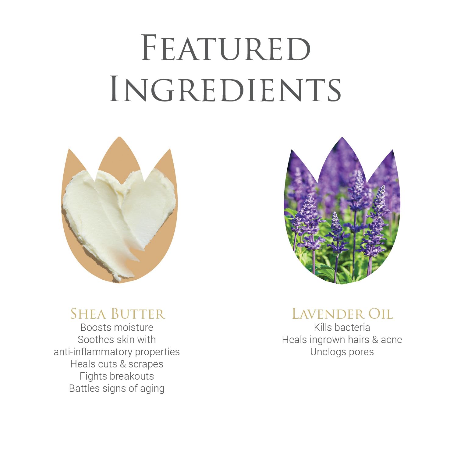 byDr.Poucher Fabulous Foam Wash for Women - pH Balanced Feminine Wash - Gentle, Natural Vulva byDr.Poucher buy supplements canada