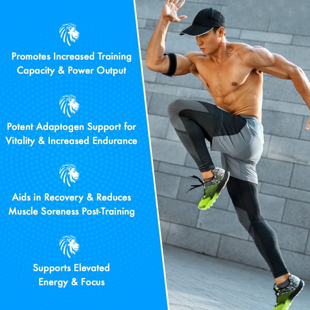 Alpha Lion Superhuman Sport Pre Workout Powder, Preworkout for Men & Women ALPHA LION buy supplements canada