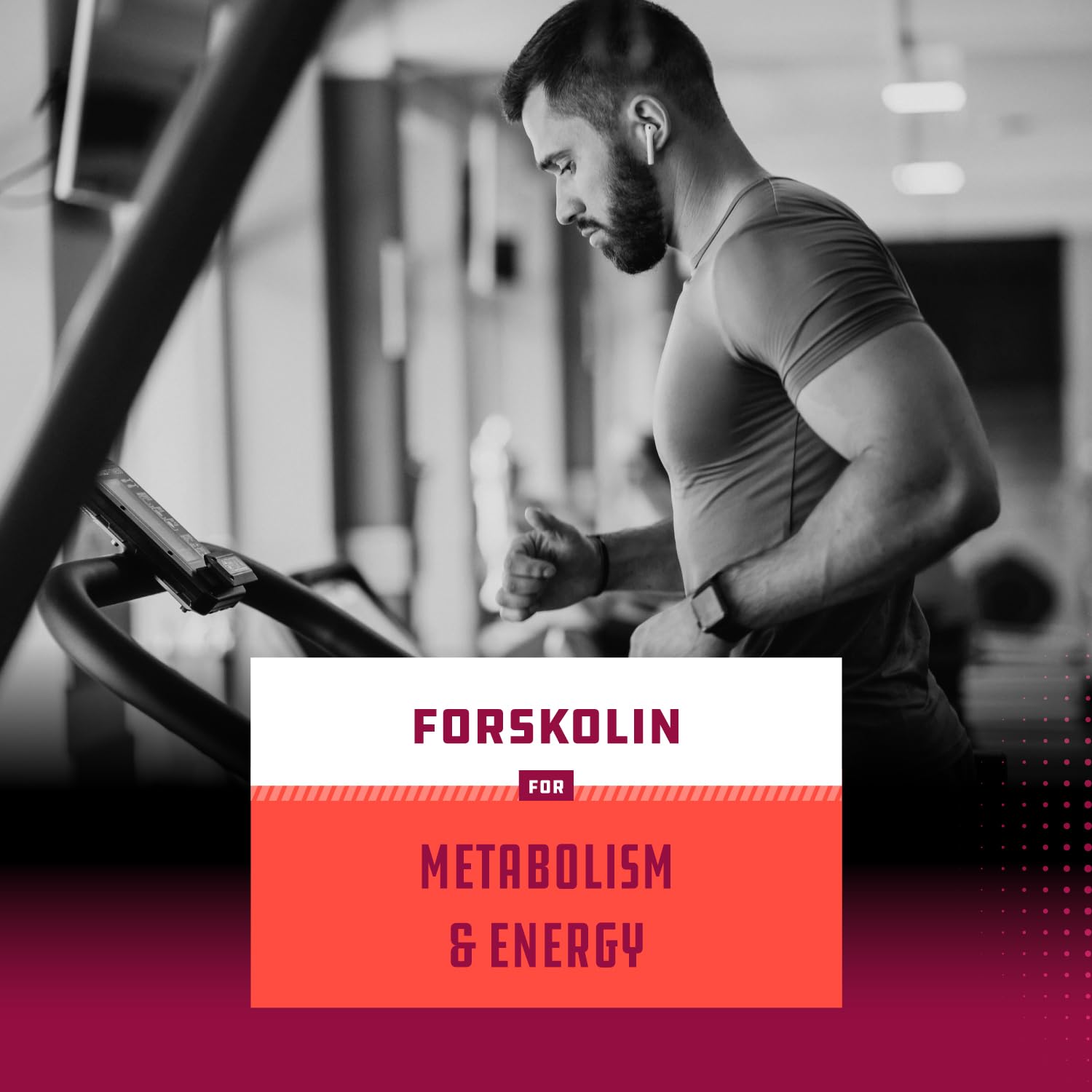 Pure Forskolin Extract - Fat Burning & Metabolism Boosting Weight Loss Supplement Natures Craft buy supplements canada