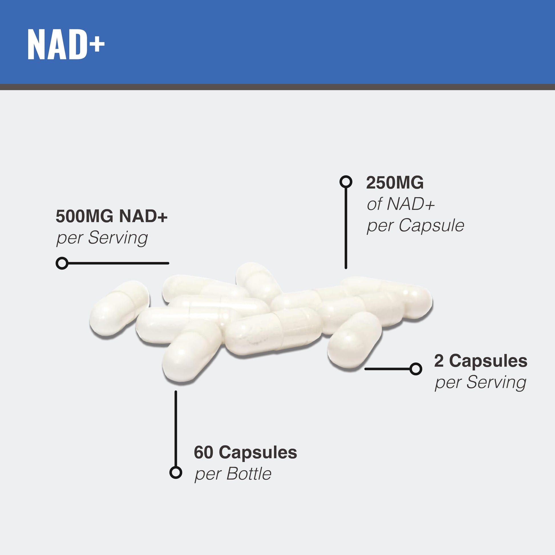 MAAC10 Liposomal NAD Supplement 500mg Serving (2x250mg Capsules) Actual Nicotinamide Adenine Dinucleotide MAAC10 buy supplements canada