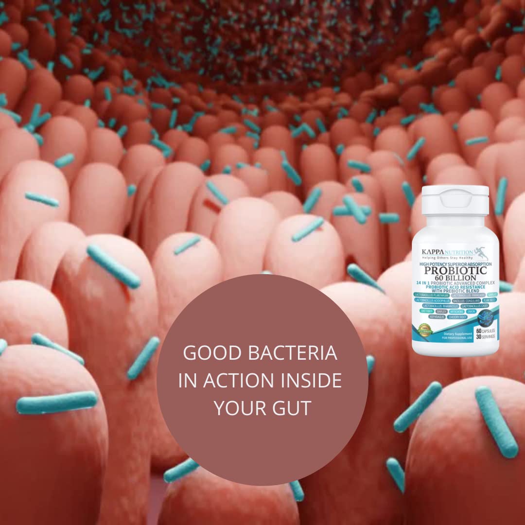 KAPPA NUTRITION Probiotic 60 Billion CFU 14 in 1 Formula with Prebiotics & Acidophilus for Women, Men & Adults, Shelf Stable, Acid Resistant, Natural Supplement 60 Capsules. KAPPA NUTRITION buy supplements canada
