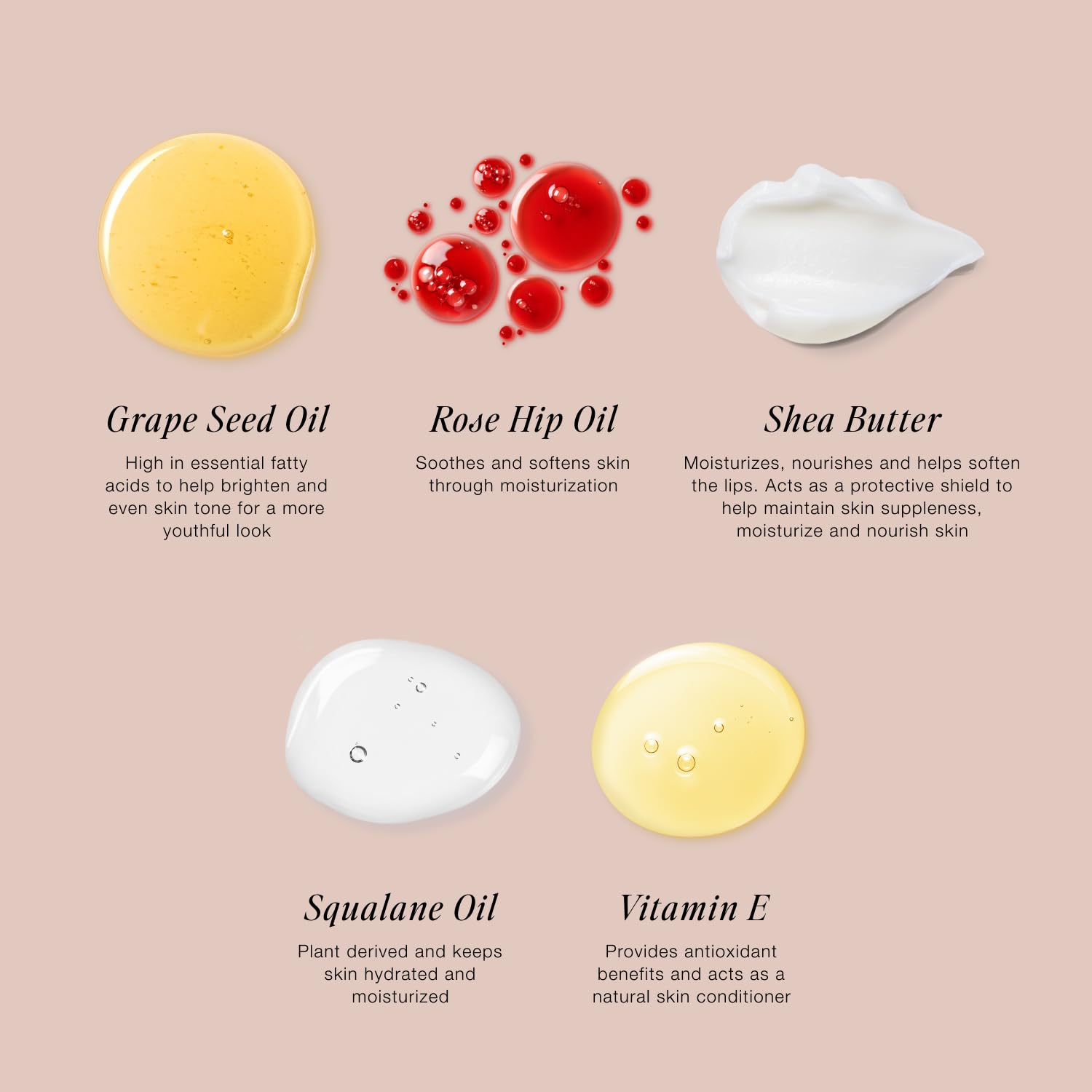 Jouer Blush & Bloom Cheek + Lip Duo - Hydrating Cream Blush Stick for Lip and Cheek Tint - Moisturizing Rose Hip and Squalane Oil Formula, Celebrate Jouer buy supplements canada
