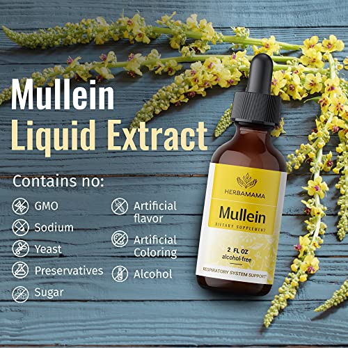 Mullein Leaf Tincture - Lung Cleanse - Vegan Lung Detox - Respiratory Health HERBAMAMA buy supplements canada