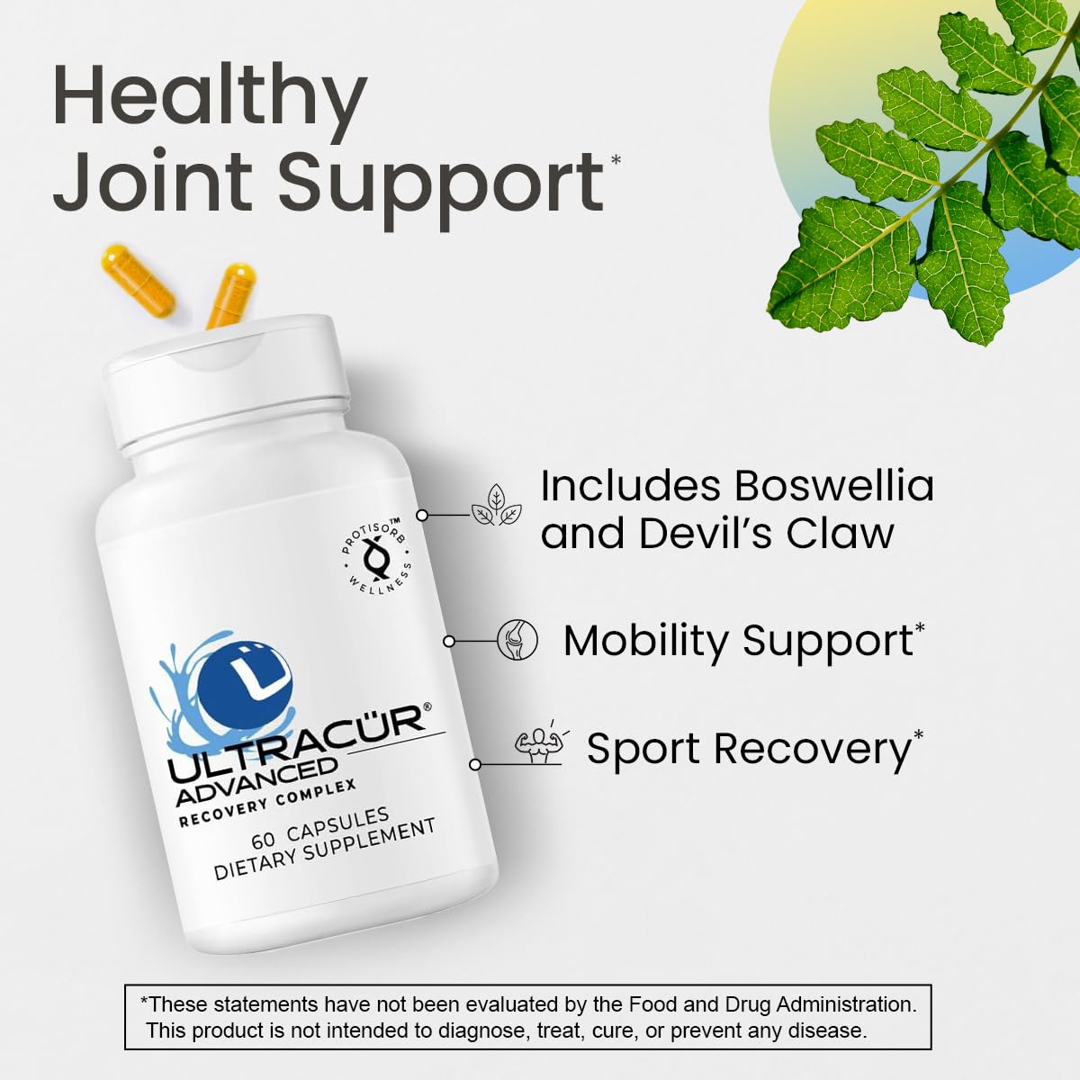 UltraCur Advanced Joint Support Supplement with High Absorption Curcumin - Extra Strength Protisorb Liquid Protein Scaffold - Supports Mobility & Flexibility with Devils Claw & Boswellia - 60 Capsules UltraCur buy supplements canada