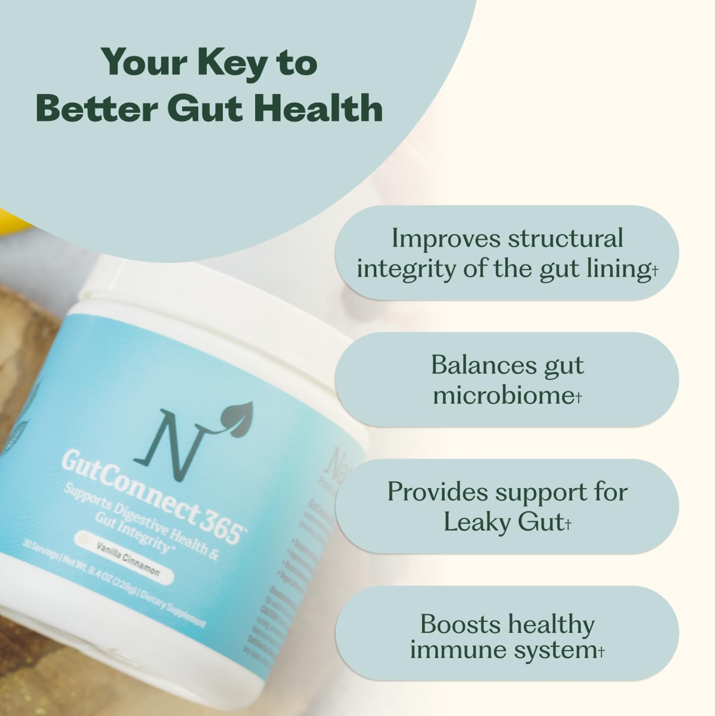 GutConnect 365 Gut Health Superfood Powder | Formulated With Slippery Elm Bark & L Glutamine | Vegan Certified | Allergen Free | Non-GMO | Soy Free | Made in the USA | 30 Servings – Vanilla Cinnamon Nature M.D. buy supplements canada