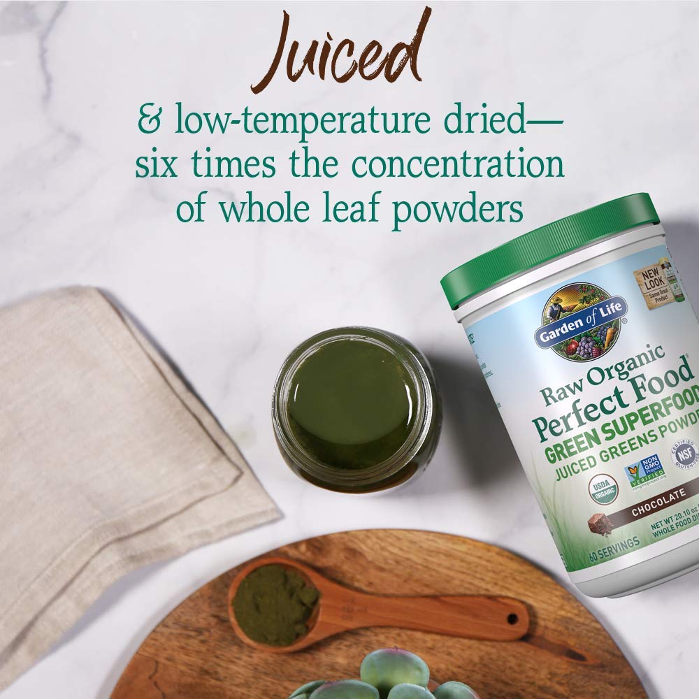 Garden of Life Raw Organic Perfect Food Green Superfood Juiced Greens Powder - Chocolate, 60 Servings, Non-GMO, Gluten Free, Vegan Whole Food Dietary Supplement Plus Probiotics, Enzymes Garden of Life buy supplements canada