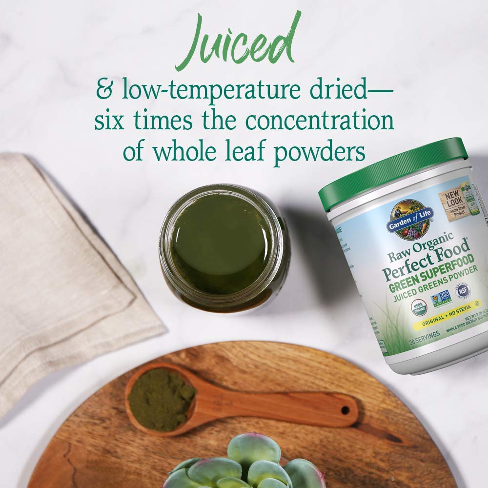 Garden of Life Raw Organic Perfect Food Alkalizer & Detoxifier Juiced Greens Superfood Garden of Life buy supplements canada