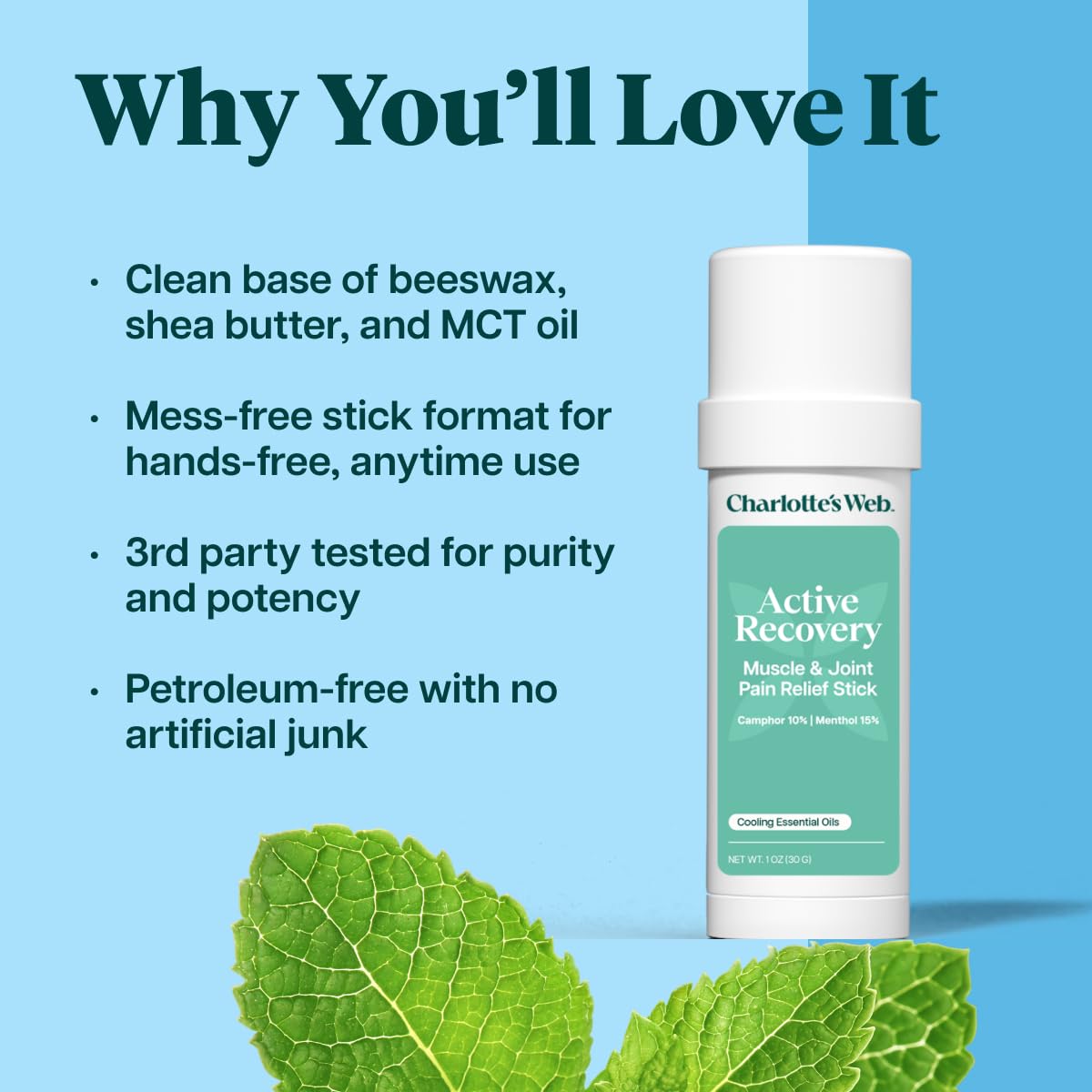 Charlotte's Web Active Recovery Muscle & Joint Pain Relief Stick 1oz Charlotte's Web buy supplements canada