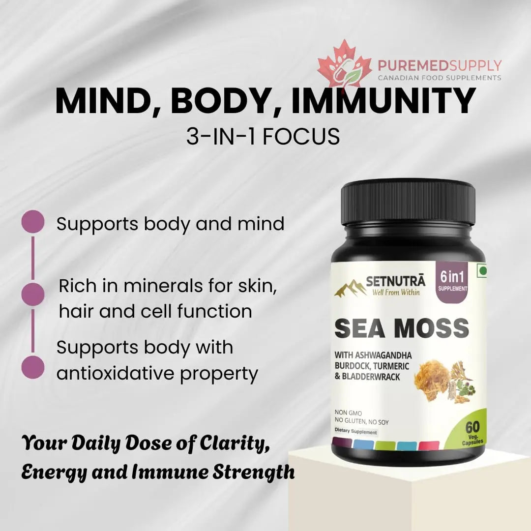 SETNUTRA Well From Within Sea Moss 6 in 1 Super Blend Ashwagandha Burdock Turmeric & Bladderwrack Immunity & Detox Support 60 Veg Capsules Non GMO No Gluten SETNUTRA Well From Within buy supplements canada